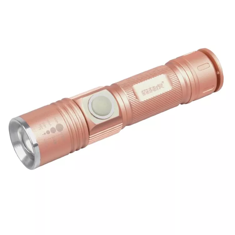 Mini LED Ficklampa Nyckelring Ljus LED för daglig användning Camping